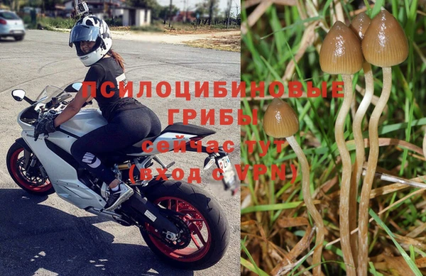эйфоретик Осташков