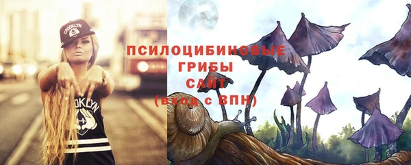 эйфоретик Осташков