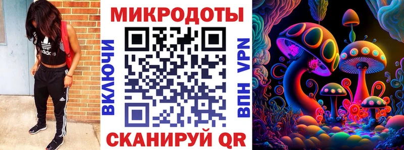 Галлюциногенные грибы Psilocybine cubensis  Славск 