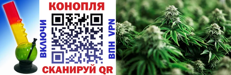 Конопля план  Славск 